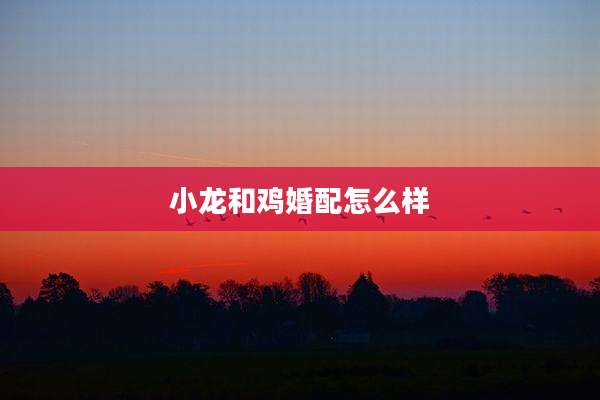 小龙和鸡婚配怎么样