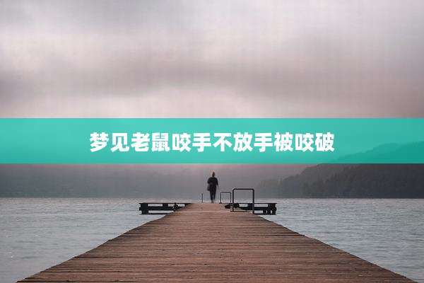 梦见老鼠咬手不放手被咬破