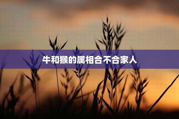牛和猴的属相合不合家人