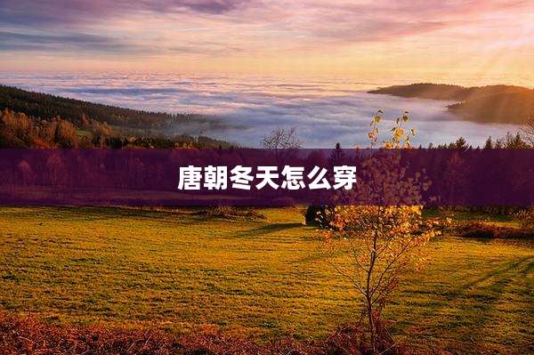 唐朝冬天怎么穿