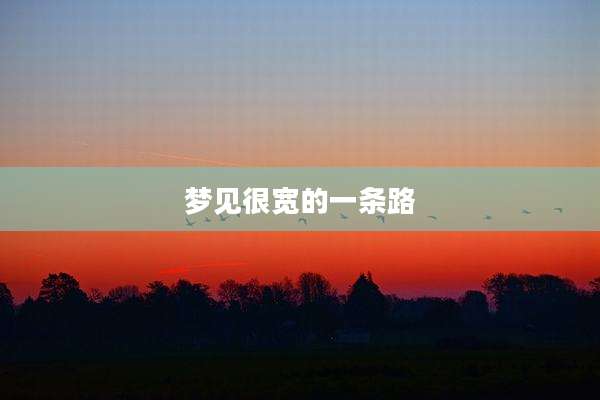 梦见很宽的一条路