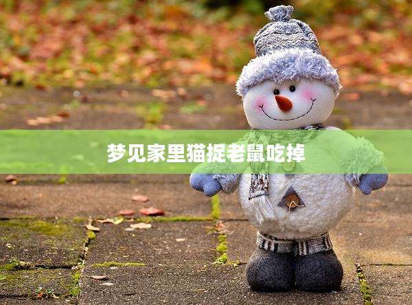 梦见家里猫捉老鼠吃掉