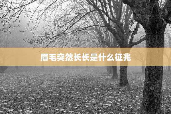 眉毛突然长长是什么征兆