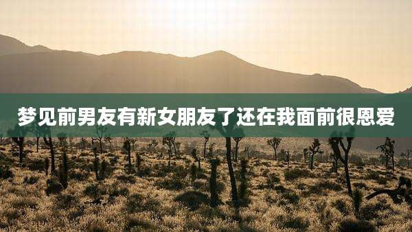 梦见前男友有新女朋友了还在我面前很恩爱