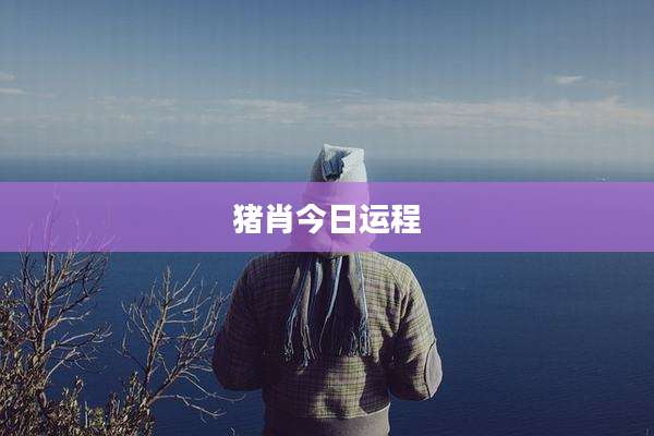 猪肖今日运程