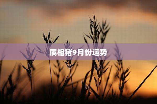 属相猪9月份运势