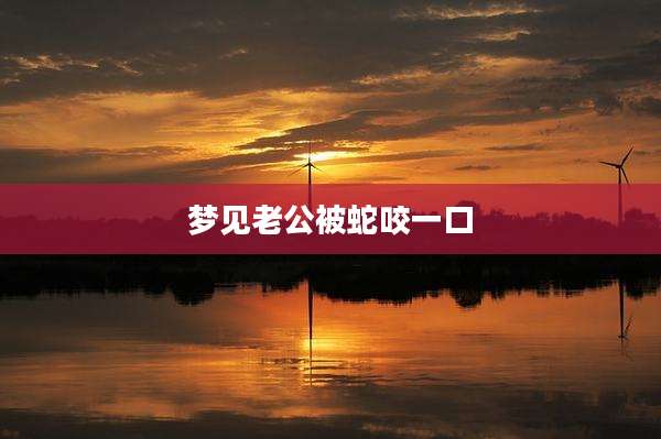 梦见老公被蛇咬一口