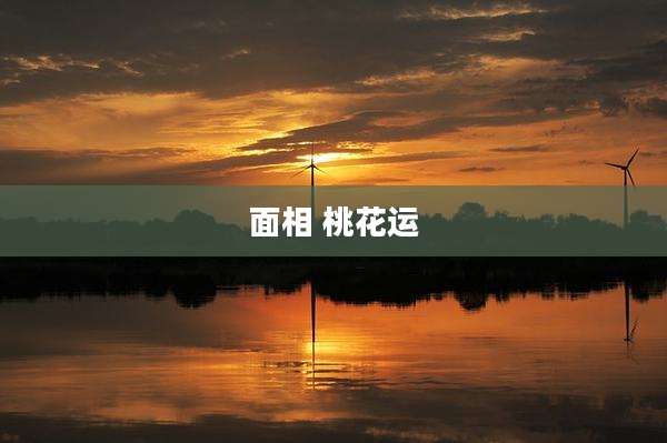 面相 桃花运
