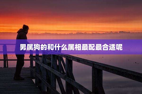男属狗的和什么属相最配最合适呢