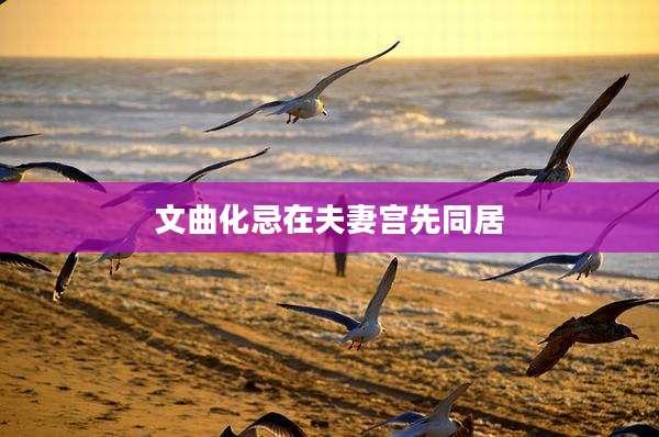 文曲化忌在夫妻宫先同居
