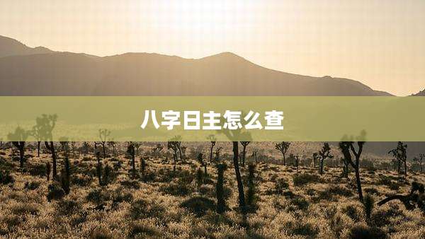 八字日主怎么查