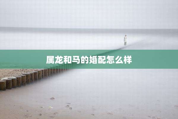 属龙和马的婚配怎么样