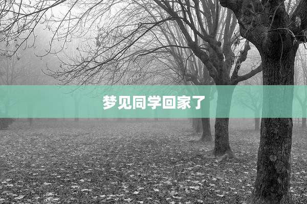 梦见同学回家了