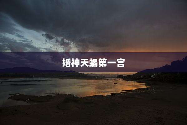 婚神天蝎第一宫