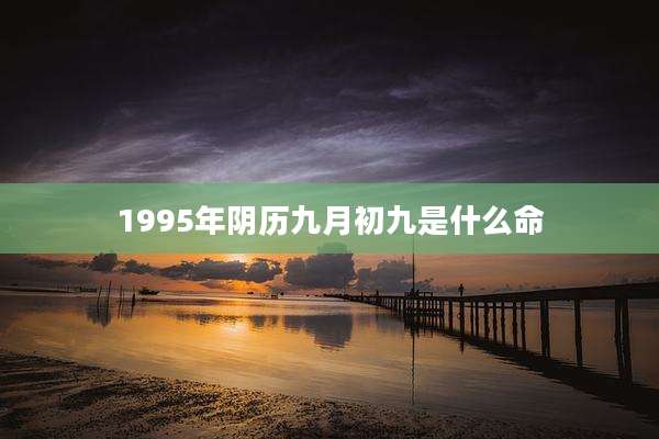 1995年阴历九月初九是什么命