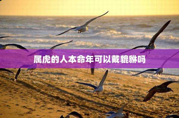 属虎的人本命年可以戴貔貅吗