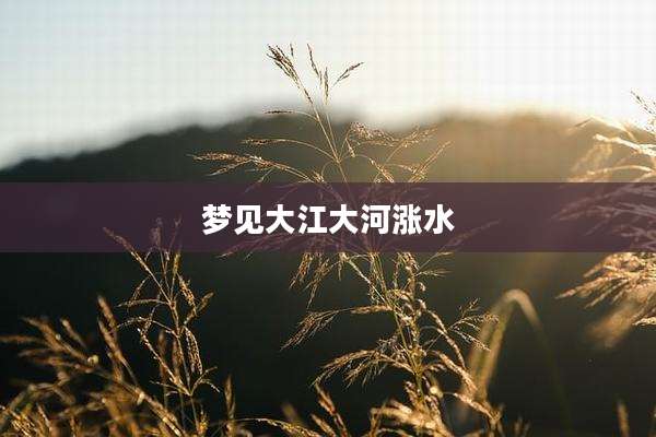 梦见大江大河涨水