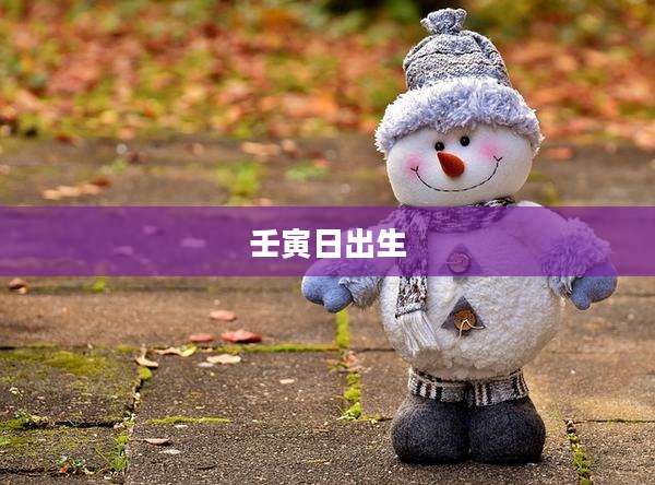 壬寅日出生