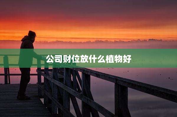 公司财位放什么植物好