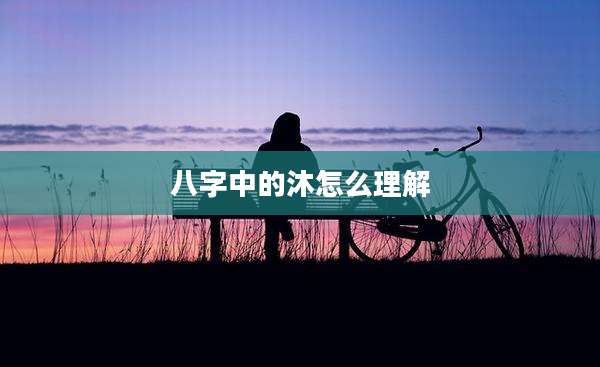 八字中的沐怎么理解