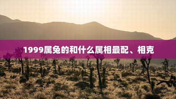 1999属兔的和什么属相最配、相克