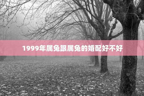 1999年属兔跟属兔的婚配好不好