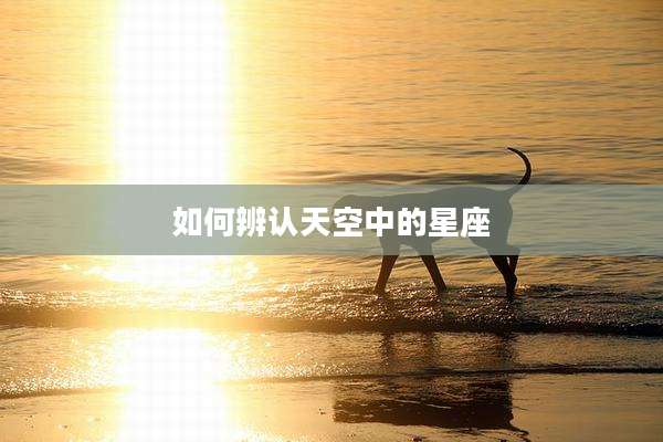 如何辨认天空中的星座