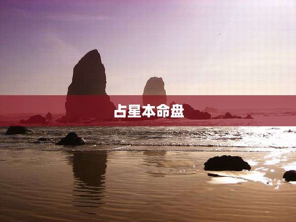 占星本命盘