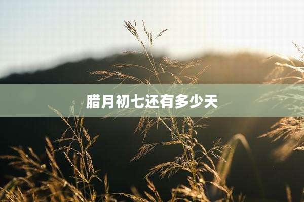 腊月初七还有多少天