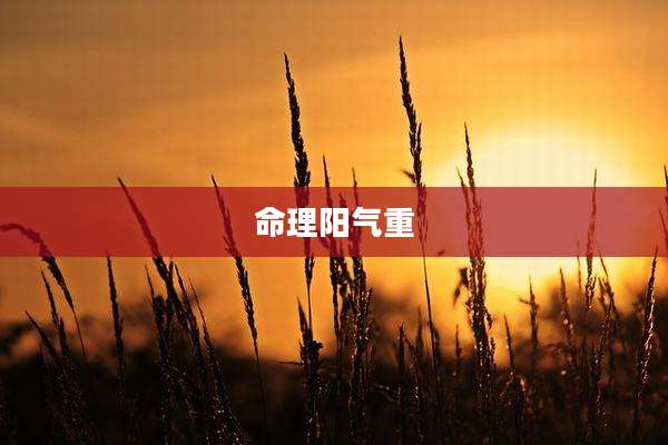 命理阳气重