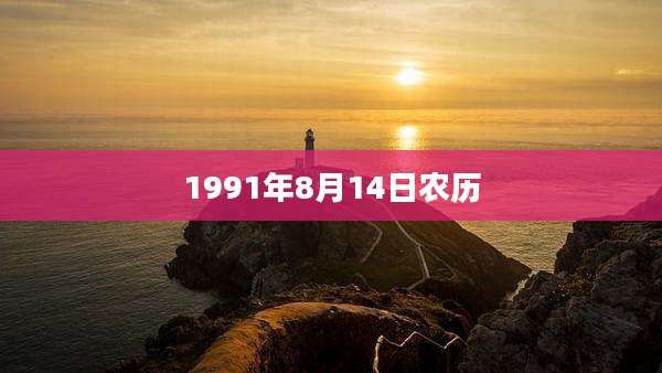 1991年8月14日农历