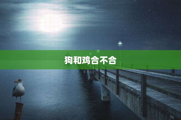 狗和鸡合不合