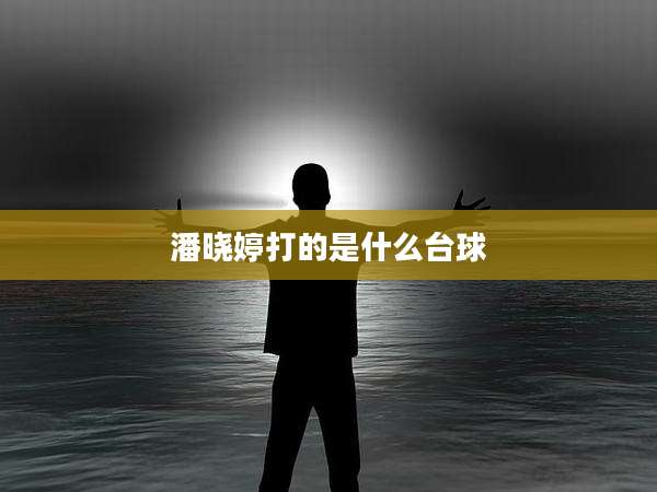 潘晓婷打的是什么台球
