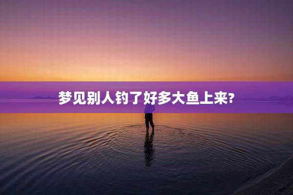 梦见别人钓了好多大鱼上来?