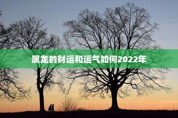 属龙的财运和运气如何2022年
