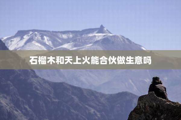 石榴木和天上火能合伙做生意吗