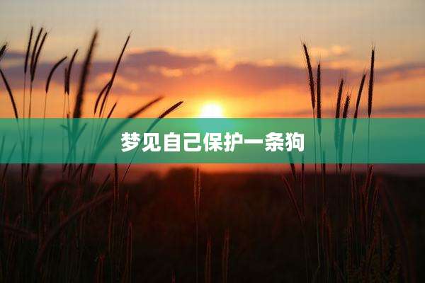 梦见自己保护一条狗