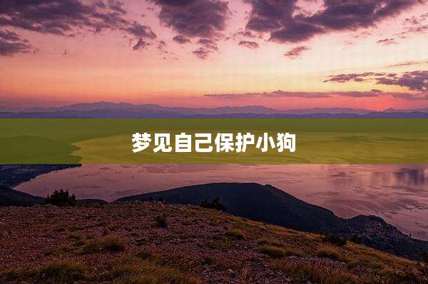 梦见自己保护小狗
