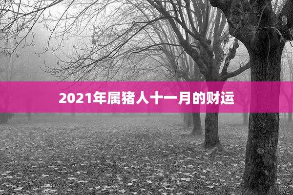 2021年属猪人十一月的财运