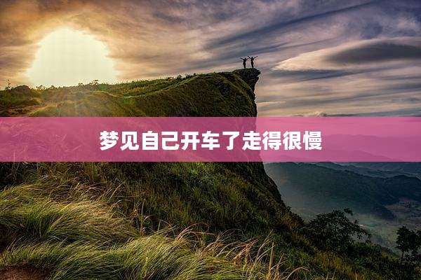 梦见自己开车了走得很慢