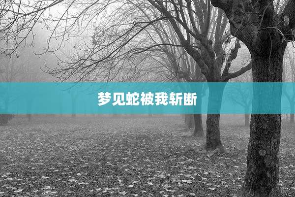梦见蛇被我斩断