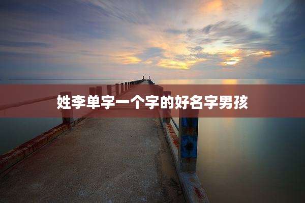 姓李单字一个字的好名字男孩