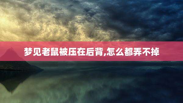 梦见老鼠被压在后背,怎么都弄不掉