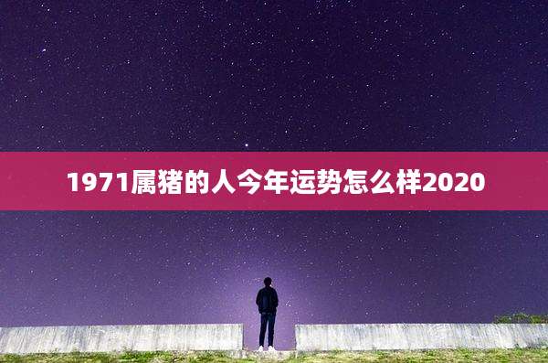 1971属猪的人今年运势怎么样2020