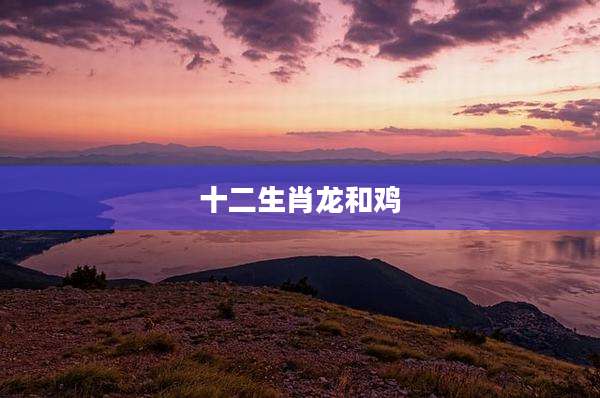 十二生肖龙和鸡