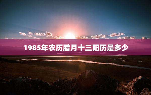 1985年农历腊月十三阳历是多少