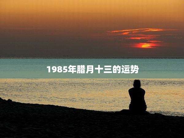 1985年腊月十三的运势