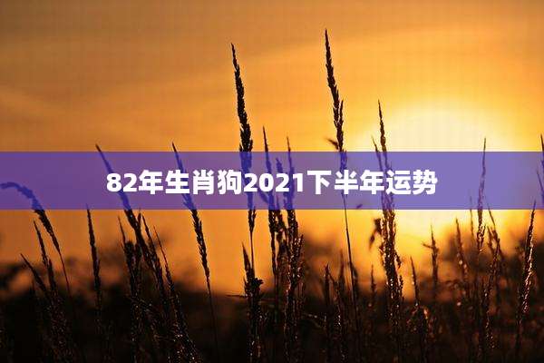 82年生肖狗2021下半年运势