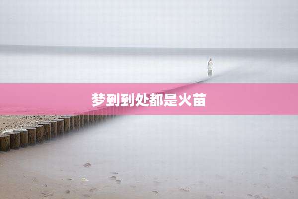 梦到到处都是火苗