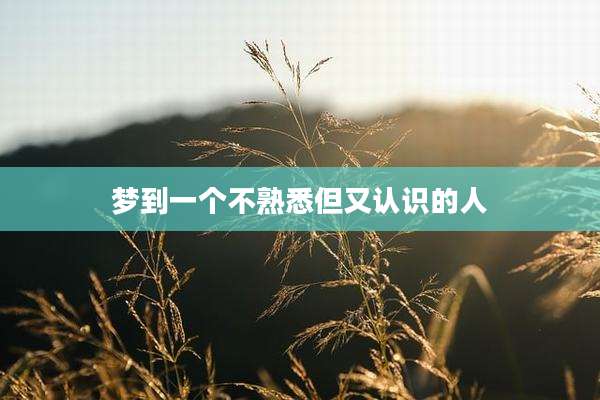 梦到一个不熟悉但又认识的人